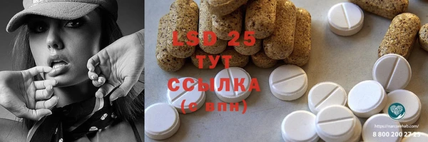 ПСИЛОЦИБИНОВЫЕ ГРИБЫ Козловка