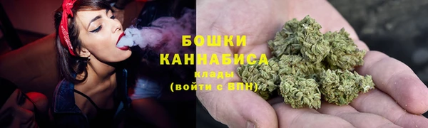 ПСИЛОЦИБИНОВЫЕ ГРИБЫ Козловка