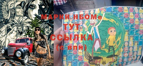 ПСИЛОЦИБИНОВЫЕ ГРИБЫ Козловка