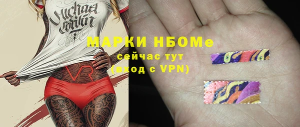 ПСИЛОЦИБИНОВЫЕ ГРИБЫ Козловка