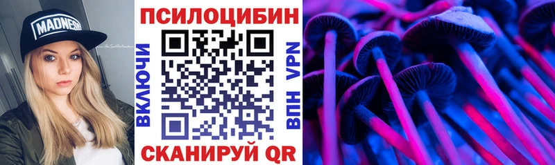 Купить закладки  Петропавловск-Камчатский  Галлюциногенные грибы Cubensis 